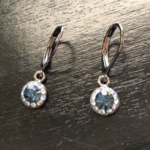 Graphite and blue jewel earrings